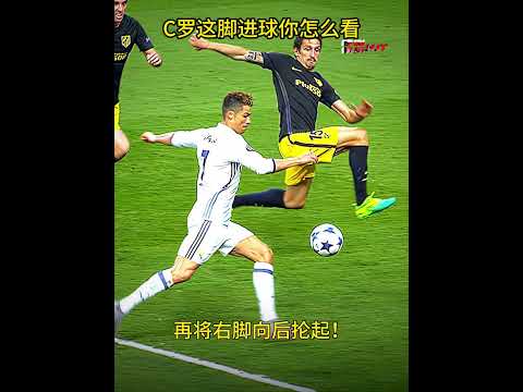 拜仁激战维,蒂尼亚,激情碰撞,2026世界杯,世界杯赛程,举办城市,球队动态,赛事推荐